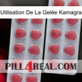 Utilisation De La Gelée Kamagra 19